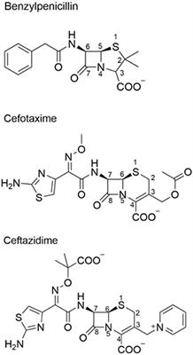 Structural and Mechanistic Basis for Extended-Spectrum Drug-Resistance Mutations in Altering the Specificity of TEM, CTX-M, and KPC β-lactamases